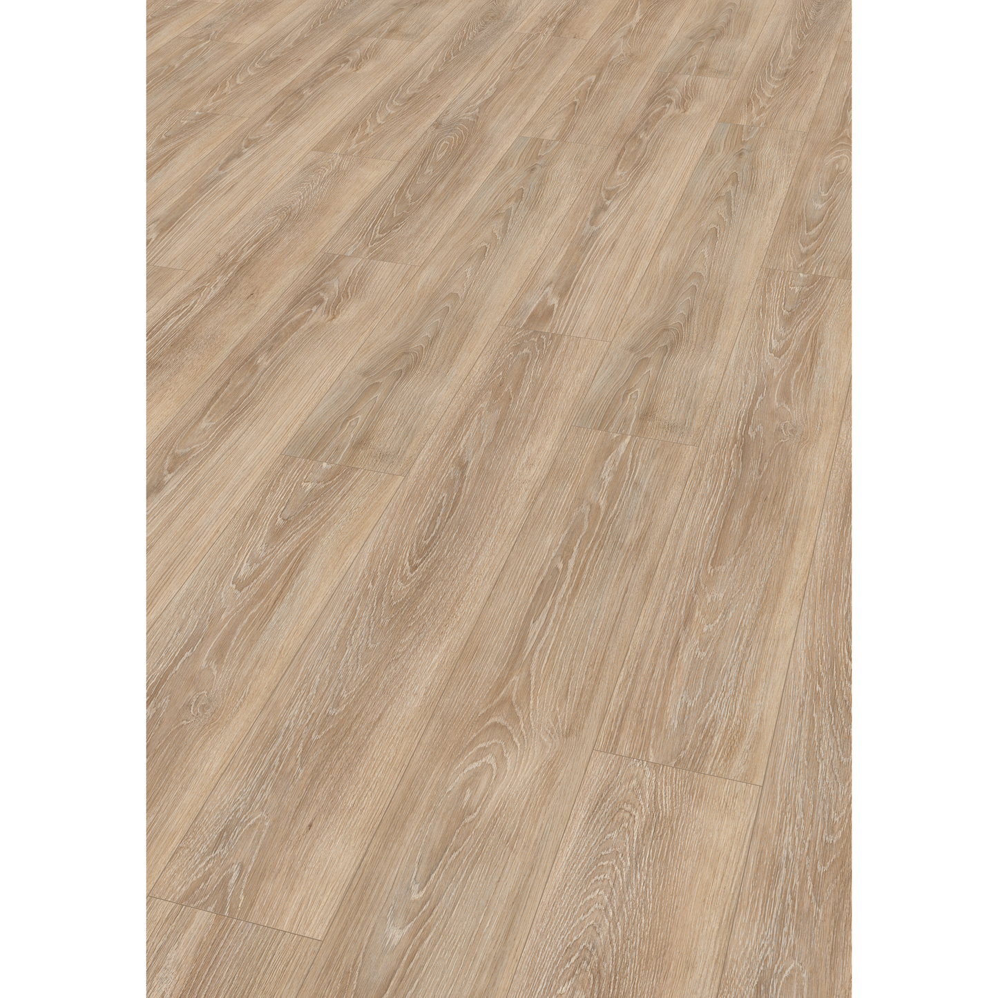 Laminat 'Nature Sense EL2162' Newport Eiche hellbraun 7 mm