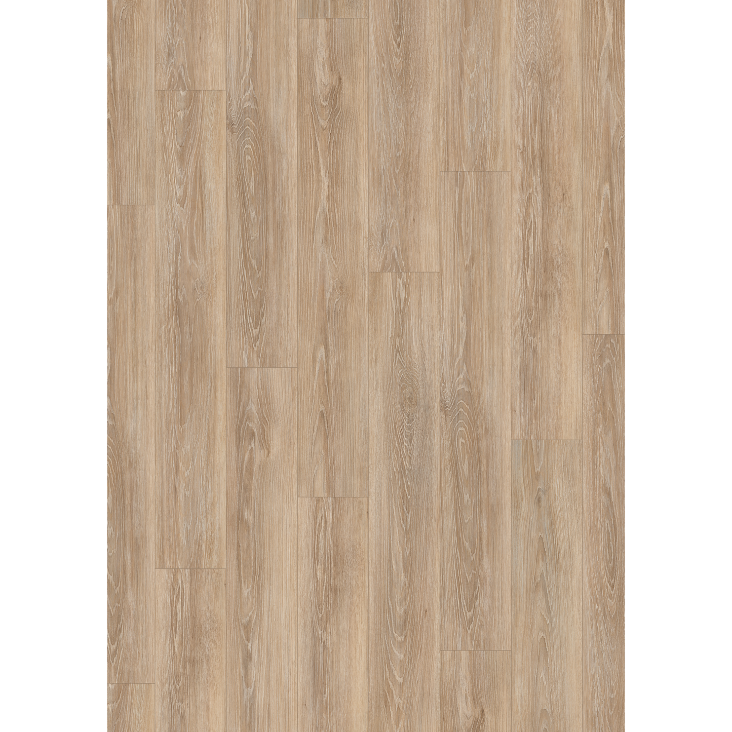 Laminat 'Nature Sense EL2162' Newport Eiche hellbraun 7 mm
