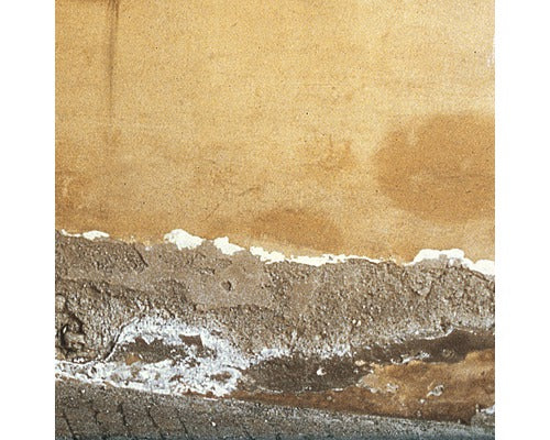 Baumit Sanierputz zur Sanierung von feuchten salzhaltigen Mauerwerk für innen und aussen 25 kg