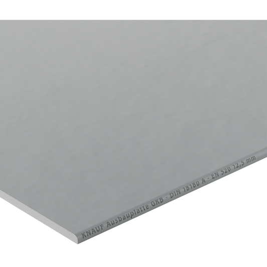 Ausbauplatte 60 x 1,25 x 200 cm
