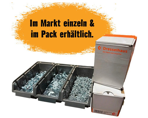Spenglerschraube m. Dichtscheibe 4,5x25 mm Edelstahl A2 mit I-Stern I 20, 100 Stück