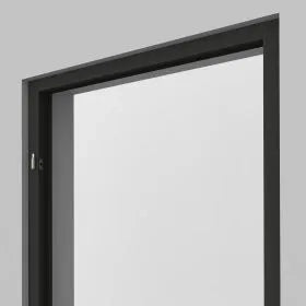 Black-framed glass door on a gray background