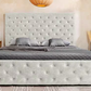 Boxbett PARIS