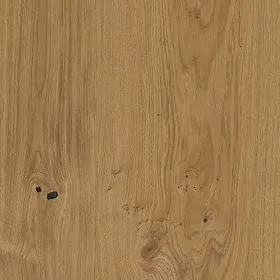 Zarge Asteiche Premium Natur Echtholzfurniert