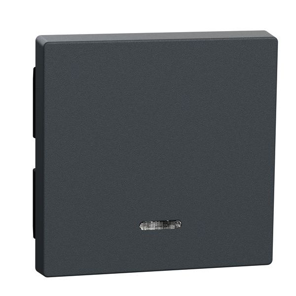 Merten Wippe 431014 Wippe Kontrollfenster anthrazit