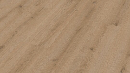 Turmeiche Creme 07120 Laminat Meister Design