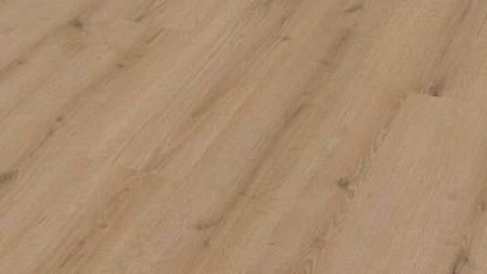 Turmeiche Creme 07120 Laminat Meister Design