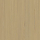 Wohneingangstüren Naturbeige CPL