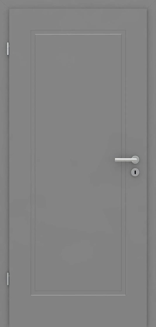 Gray door with a silver handle on a gray background