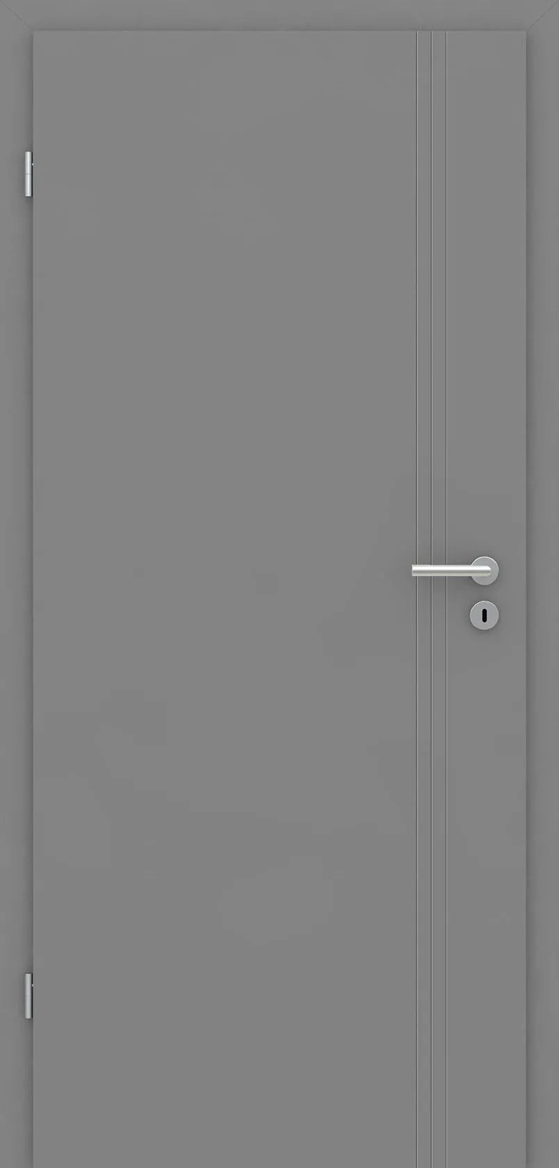 Gray door with a silver handle on a gray background