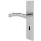 A modern lever handle door lockset in a brushed silver finish, featuring a curved lever and a vertical backplate with a keyhole cutout, shown against a plain white background.