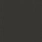 Solid black color swatch