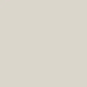 Solid light gray color swatch