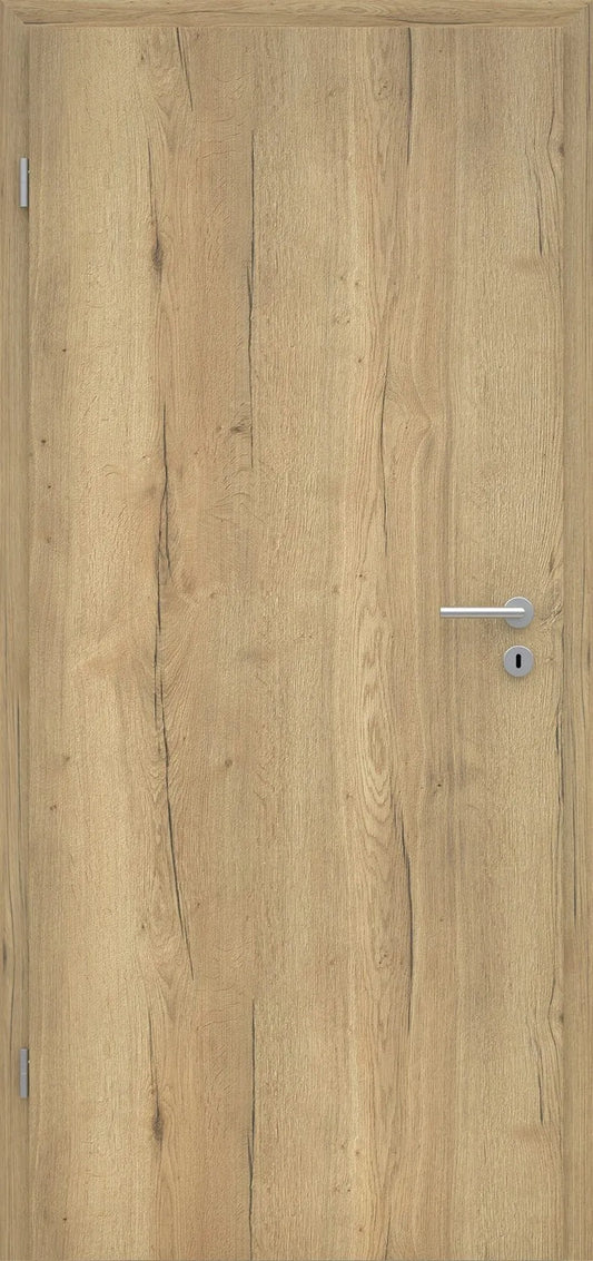 Wooden door with a metallic handle and lock